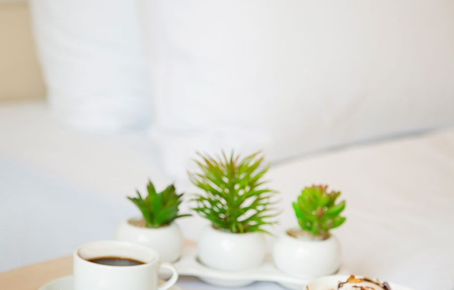 فندق إيفيريا إن تبليسى